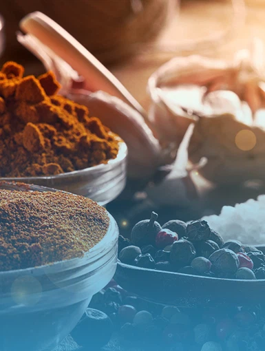 Food Ingredients